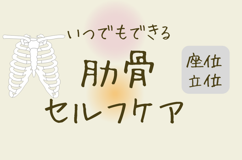 肋骨